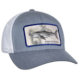 BORNOFWATER Great White Shark Patch Hat