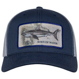 BORNOFWATER Great White Shark Patch Hat