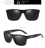 DUBERY SUNGLASS D182